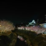 【掛川城】掛川桜まつり　夜桜ライトアップがとってもキレイ！