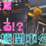 【浜松市】機関車公園にはC58形蒸気機関車が展示されています