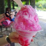 【浜松城公園に行ったら】タタズミ COFFE さんのかき氷とアイスを食べよう