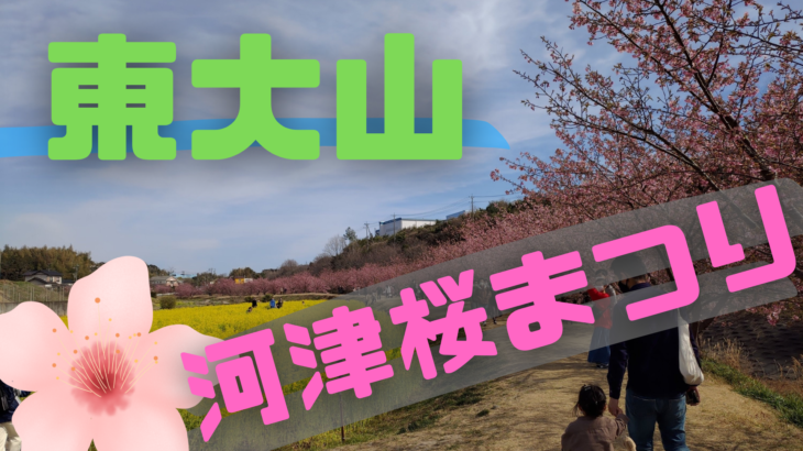 【浜松市】東大山の河津桜見てきましたー！