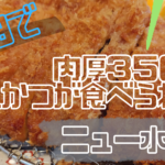 【磐田市】うまい肉厚とんかつが食べられるお店「ニュー水無月」
